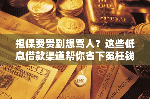 济南担保费贵到想骂人？这些低息借款渠道帮你省下冤枉钱