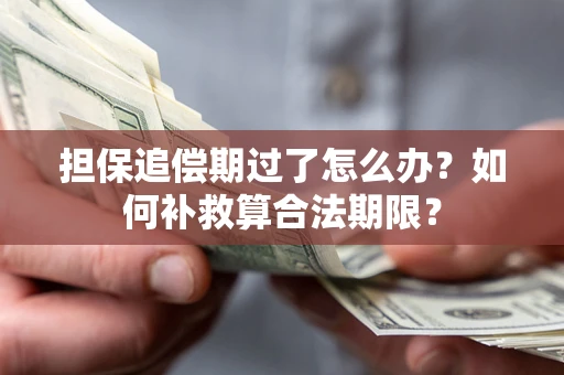 济南担保追偿期过了怎么办？如何补救算合法期限？