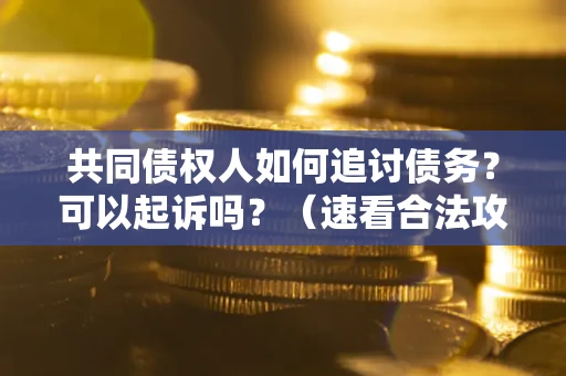 济南共同债权人如何追讨债务？可以起诉吗？（速看合法攻略）